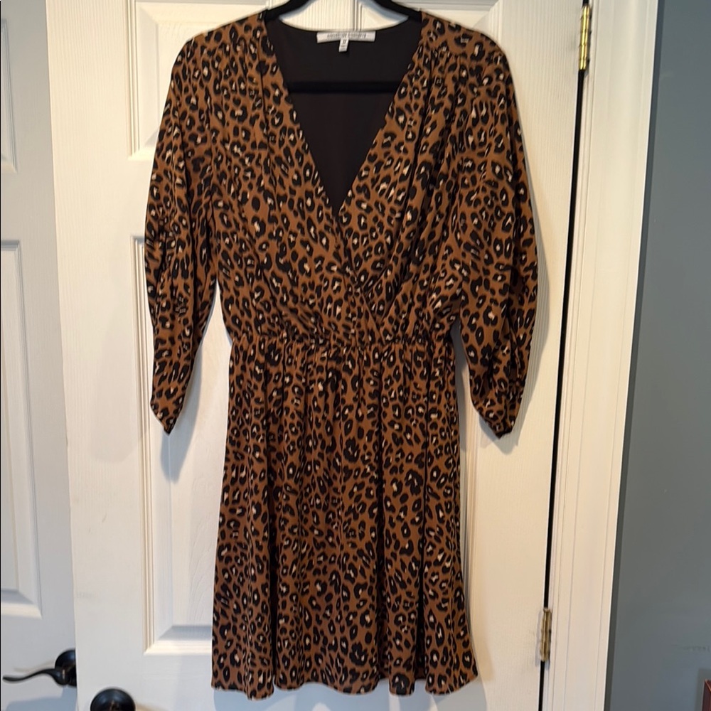 Leopard Print V-Neck Dress collective concepts